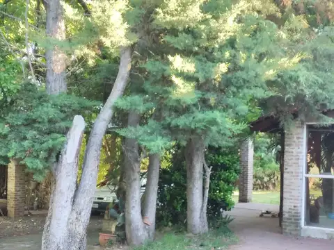 Casa Quinta en venta