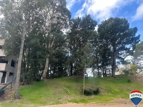 Calle 313 entre alameda 219 y 219 bis