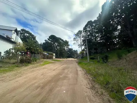 Calle 313 entre alameda 219 y 219 bis