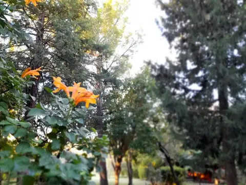 Casa en Venta de 9 dormitorios