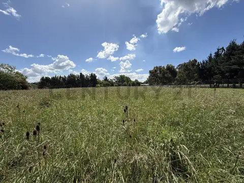 Terreno en Venta 60  mts Fondo