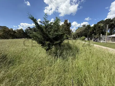 Terreno en Venta en Mar Del Plata, USD 19.900