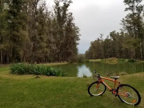 LOTE EN CAMPO TIMBO , Piso No definido