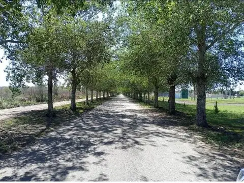 LOTE EN CAMPO TIMBO FINANCIADO CERCADO
