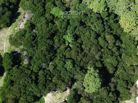 Terreno en Venta en Colonia Marina, USD 540.000