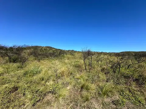 Campo en Venta de 11  ha