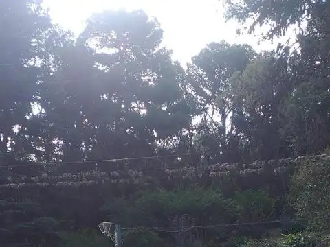 bartolome jaime 600 600