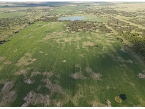 Campo mixto de 200 has, sexto Gualeguay