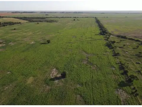 Sexto Gualeguay , Piso No definido