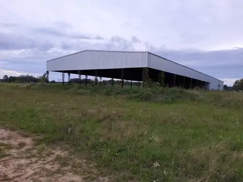 Galpón - Venta - Argentina, Concordia