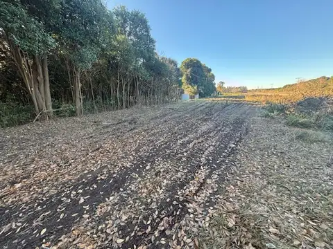 Terreno en Venta en San Pedro, USD 35.000