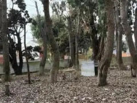 Terreno en Venta 40  mts Fondo