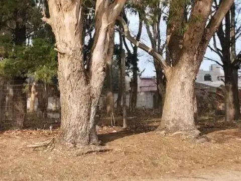 Terrenos en venta - 800Mts2 - San Bernardo del Tuyú