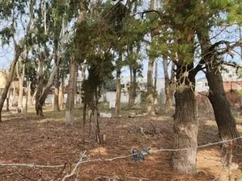 Terreno en Venta de 800,0 m2