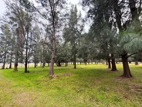 RUTA PROVINCIAL 6 Y RUTA 215