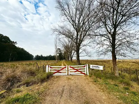 RUTA PROVINCIAL 6 Y RUTA 215