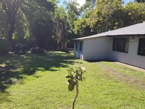 Gervasio Méndez 10600