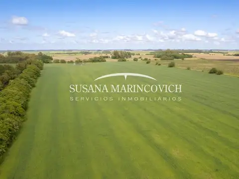 Campo 15ha San Andres de Giles