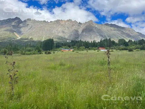 las nuebes, golondrinas, el bolson