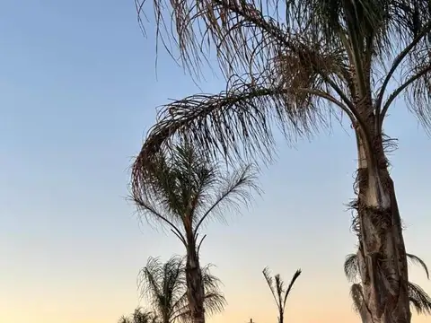 Terreno en Venta de 6000000,0 m2