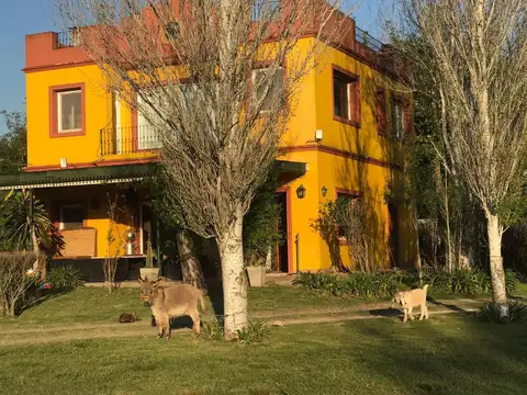 Terreno en Venta de 100000,0 m2