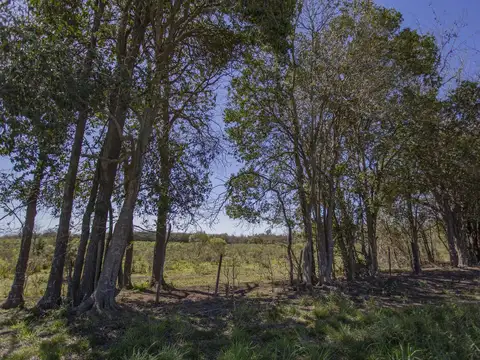 Calle 151 e/30 bis y 28 bis