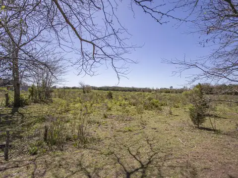 Calle 151 e/30 bis y 28 bis