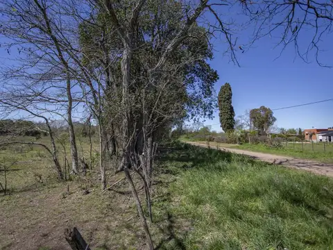 Venta de campo en Mercedes 9 has con casa a refaccionar