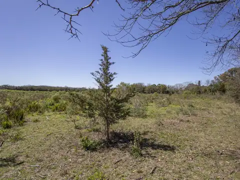 Calle 151 e/30 bis y 28 bis