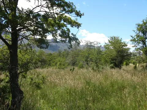 Campo en Venta Mixto