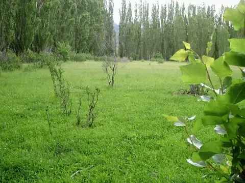 Pje Localidad Corcovado