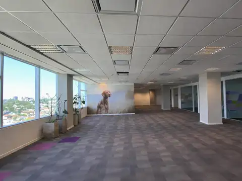 Oficina en Alquiler con 5 cocheras