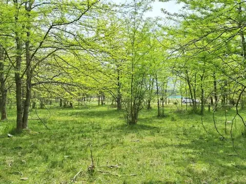 HECTAREA DE CAMPO EN MARCOS PAZ