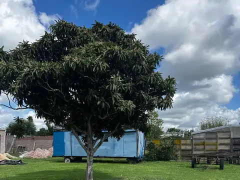 LOTE INTERNO EN HUMBOLDT