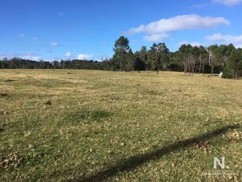 Terreno en Venta en Rincón del Indio, USD 1