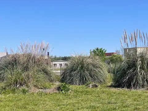 Terreno en Venta de 1231,0 m2