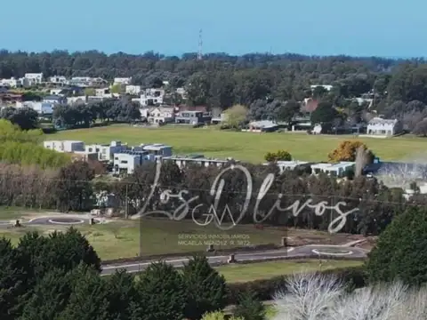 Jorge Newbery 5005, Mar Del Plata, Buenos Aires, Argentina.