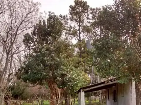 47 Has Fatima, Pilar Km 100