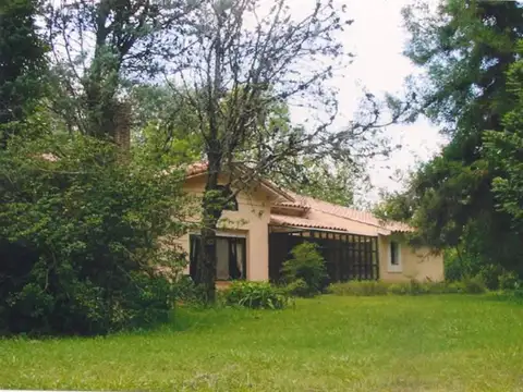 47 Has Fatima, Pilar Km 100