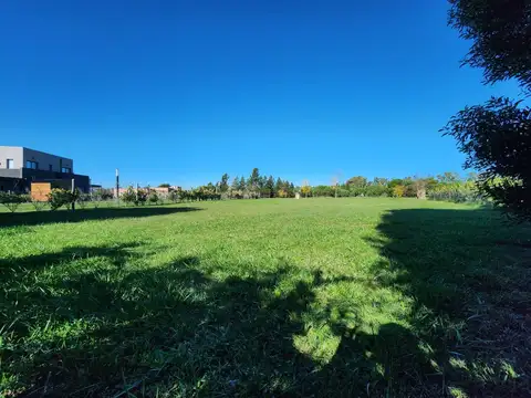 Terreno en Venta de 950,0 m2