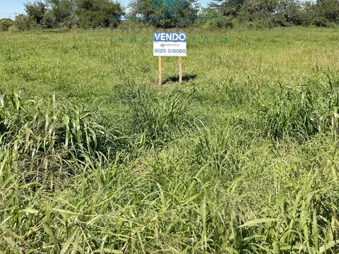 VENTA- LOTES EN SINSACATE - 1.000 m²