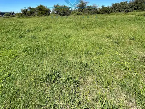 VENTA- LOTES EN SINSACATE - 1.000 m²