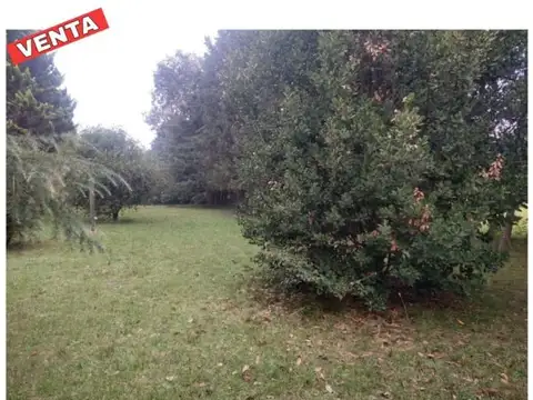 Terreno en Venta en Virrey Del Pino, USD 40.000