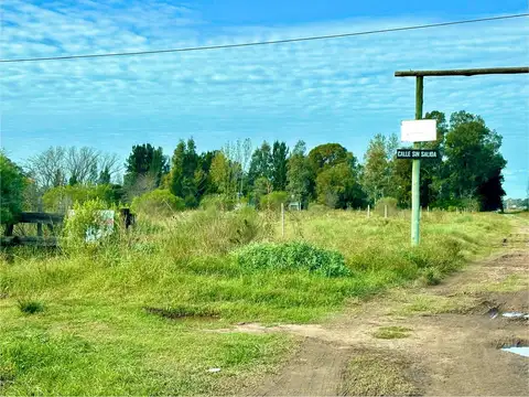 Reverendo Padre Puig 4900