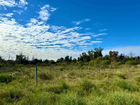 Venta Lote / Terreno 1750 m2, La Reja, Moreno