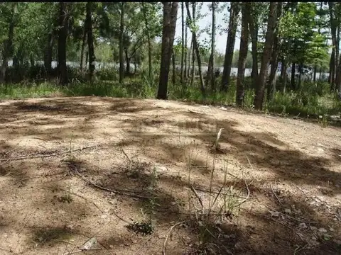 Terreno Lote  en Venta ubicado en Zona Delta, San Fernando, G.B.A. Zona Norte