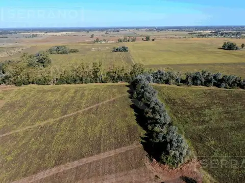 Terreno en Venta de 1500,0 m2