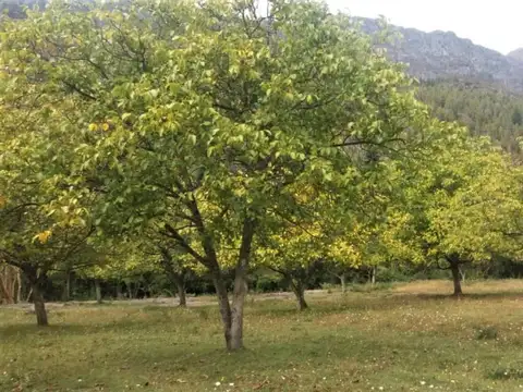 Terreno en Venta de 2000,0 m2