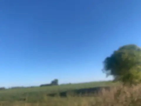 10y1/2 HECTAREAS AGRICOLAS