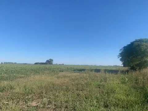 10y1/2 HECTAREAS AGRICOLAS